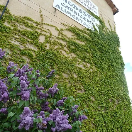 Апартаменты Casa Modesto *