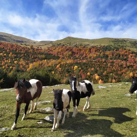 Апартаменты Casa Modesto Эскалона