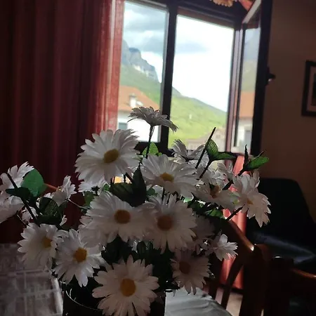 Апартаменты Casa Modesto *