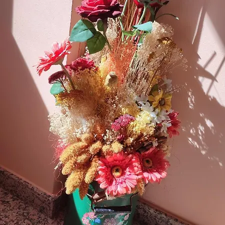 アパート Casa Modesto *