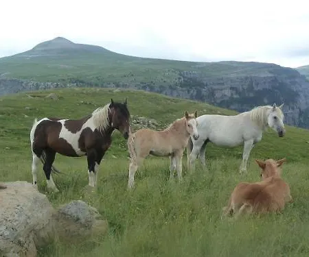 Casa Modesto * Escalona