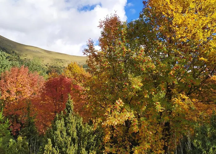Casa Modesto Apartamento