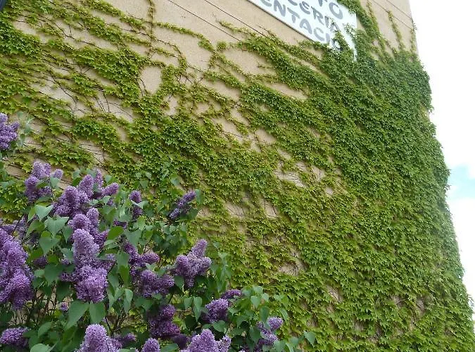 Apartamento Casa Modesto *