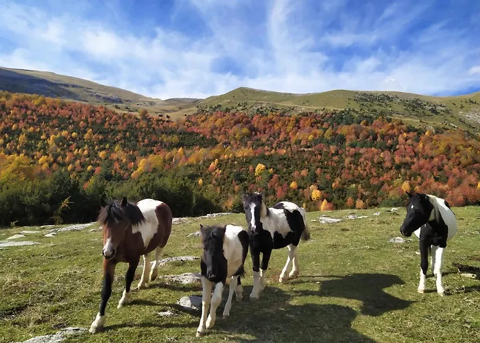 Apartman Casa Modesto Escalona