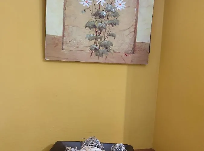 Apartamento Casa Modesto *