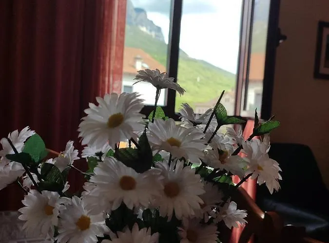 Apartamento Casa Modesto *