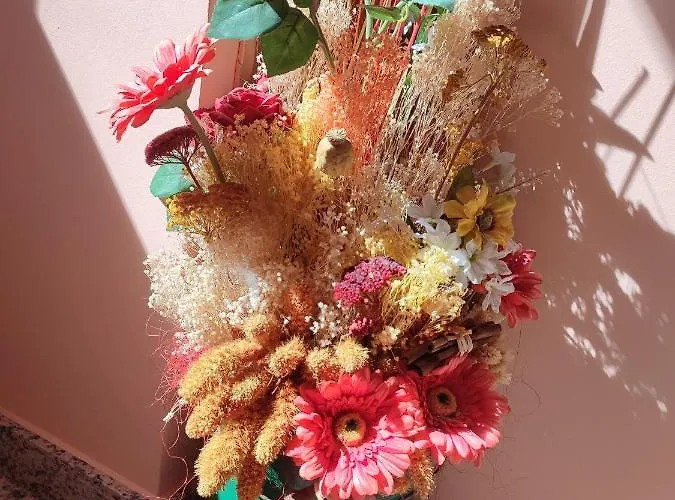 Apartamento Casa Modesto *