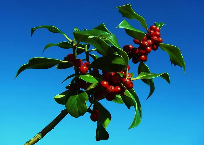 Casa Modesto Apartamento *